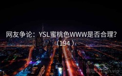 网友争论：YSL蜜桃色WWW是否合理？（194 ）