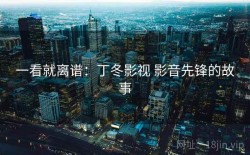 一看就离谱：丁冬影视 影音先锋的故事