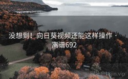 没想到！向日葵视频还能这样操作 · 离谱692